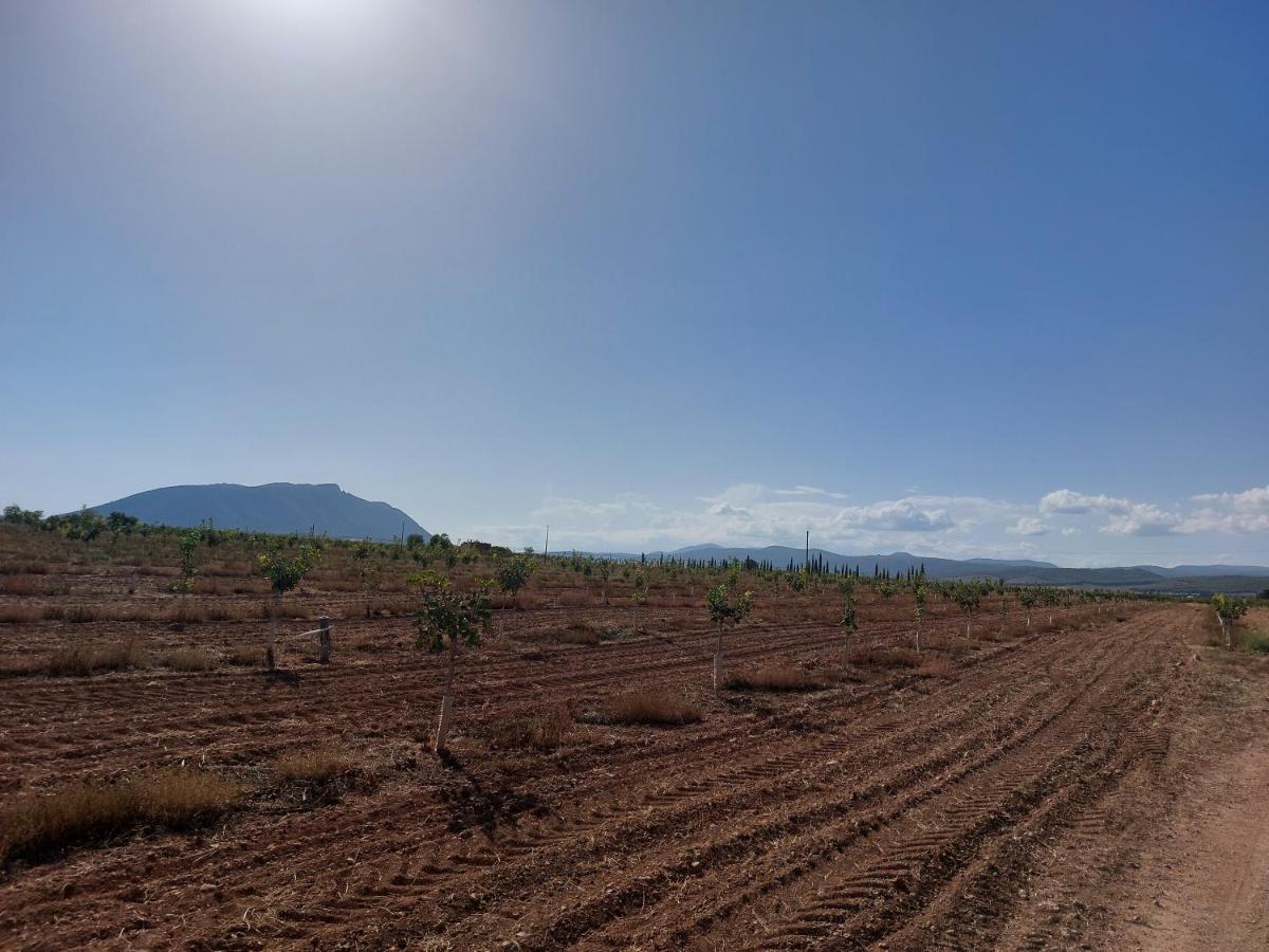 Casa Rural "La Villa Del Pistacho" Арчивель Экстерьер фото