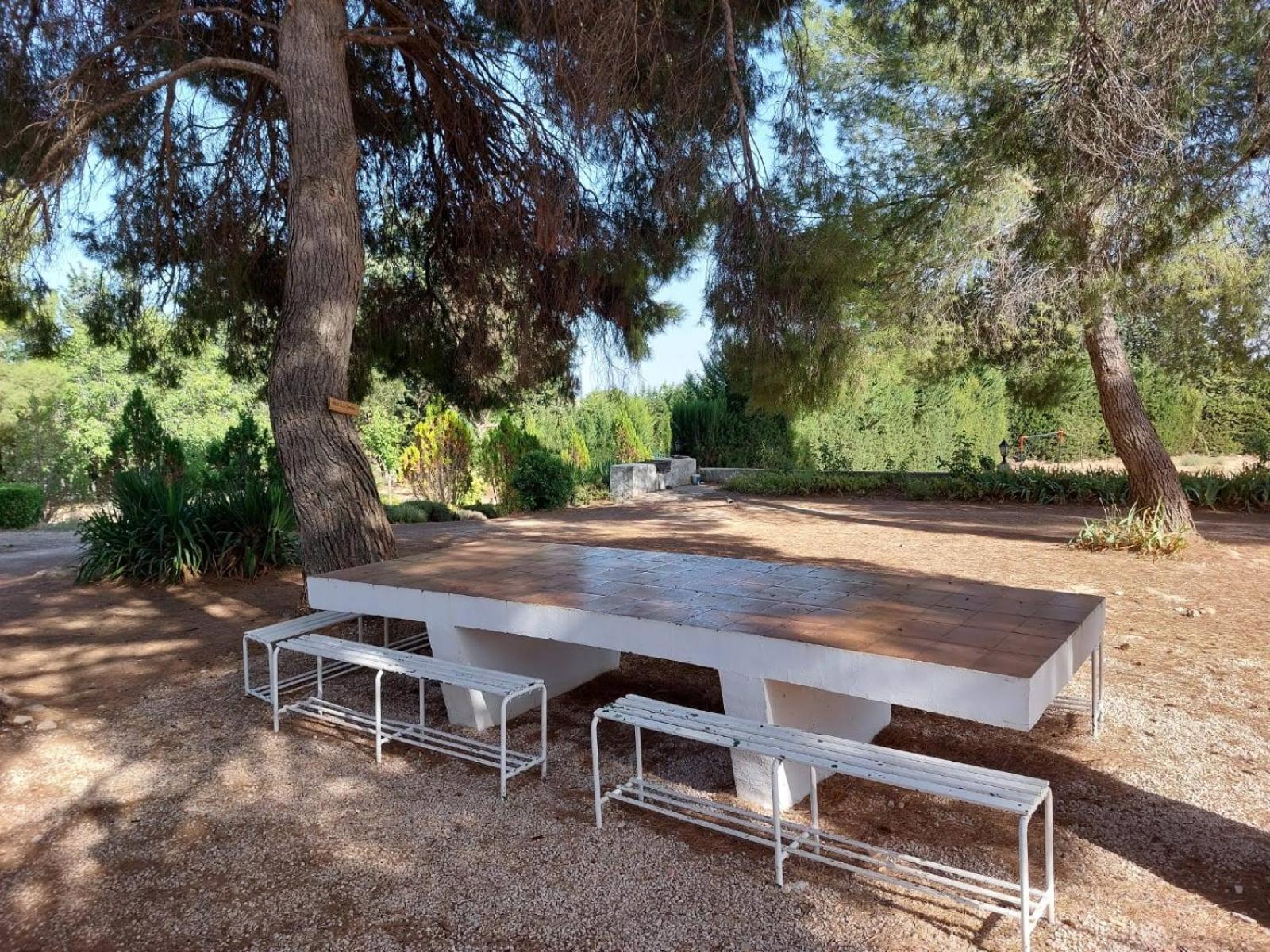 Casa Rural "La Villa Del Pistacho" Арчивель Экстерьер фото