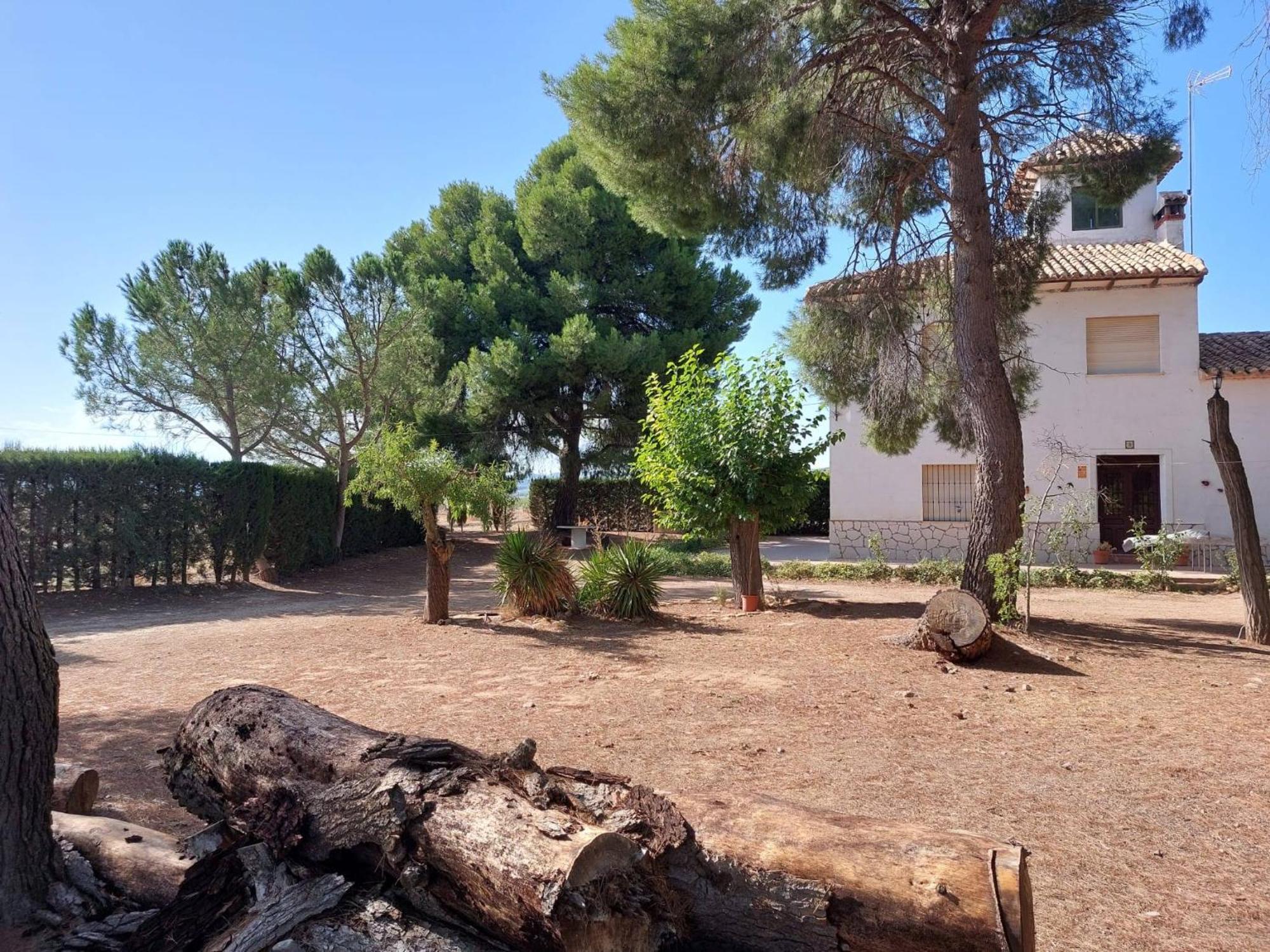 Casa Rural "La Villa Del Pistacho" Арчивель Экстерьер фото